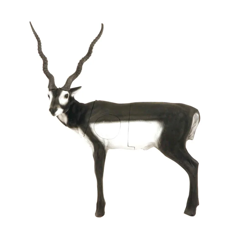 2026_06_16_854947