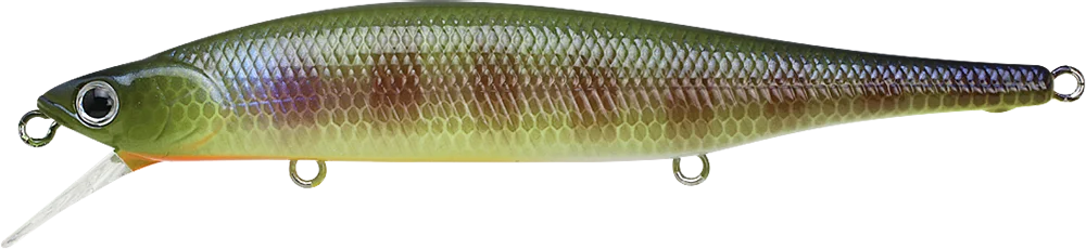 2026_06_16_903621