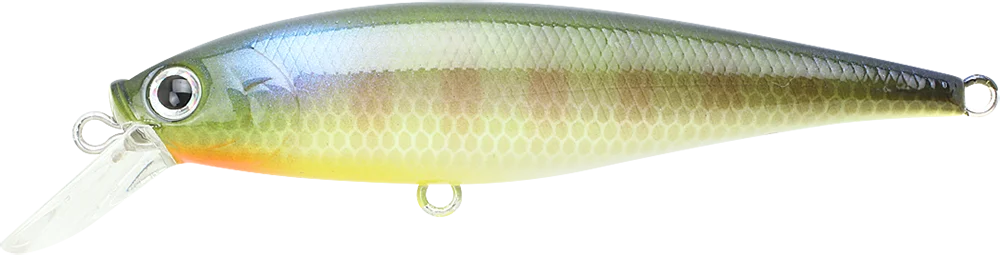 2026_06_16_904054