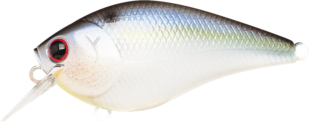 2026_06_16_904844